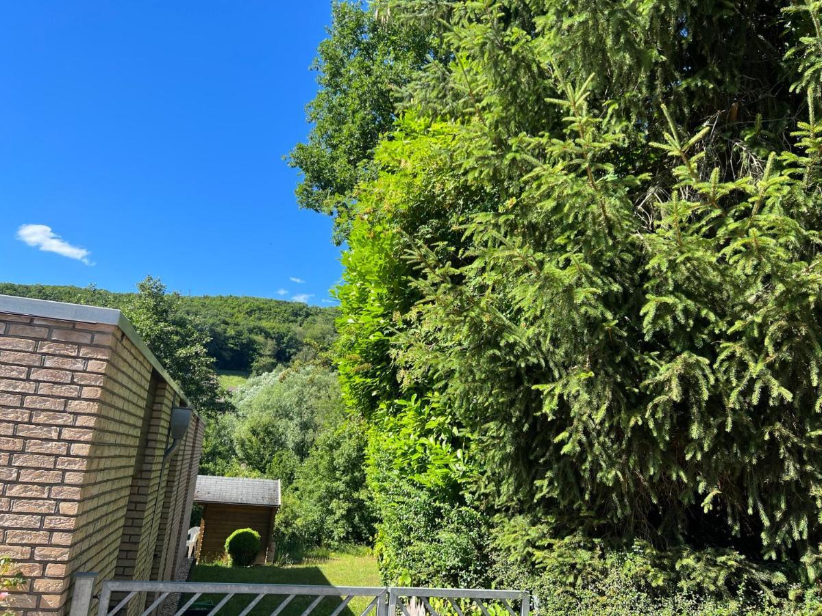 Gaestehaus Zum Buchenweg Hasenfeld Extérieur photo