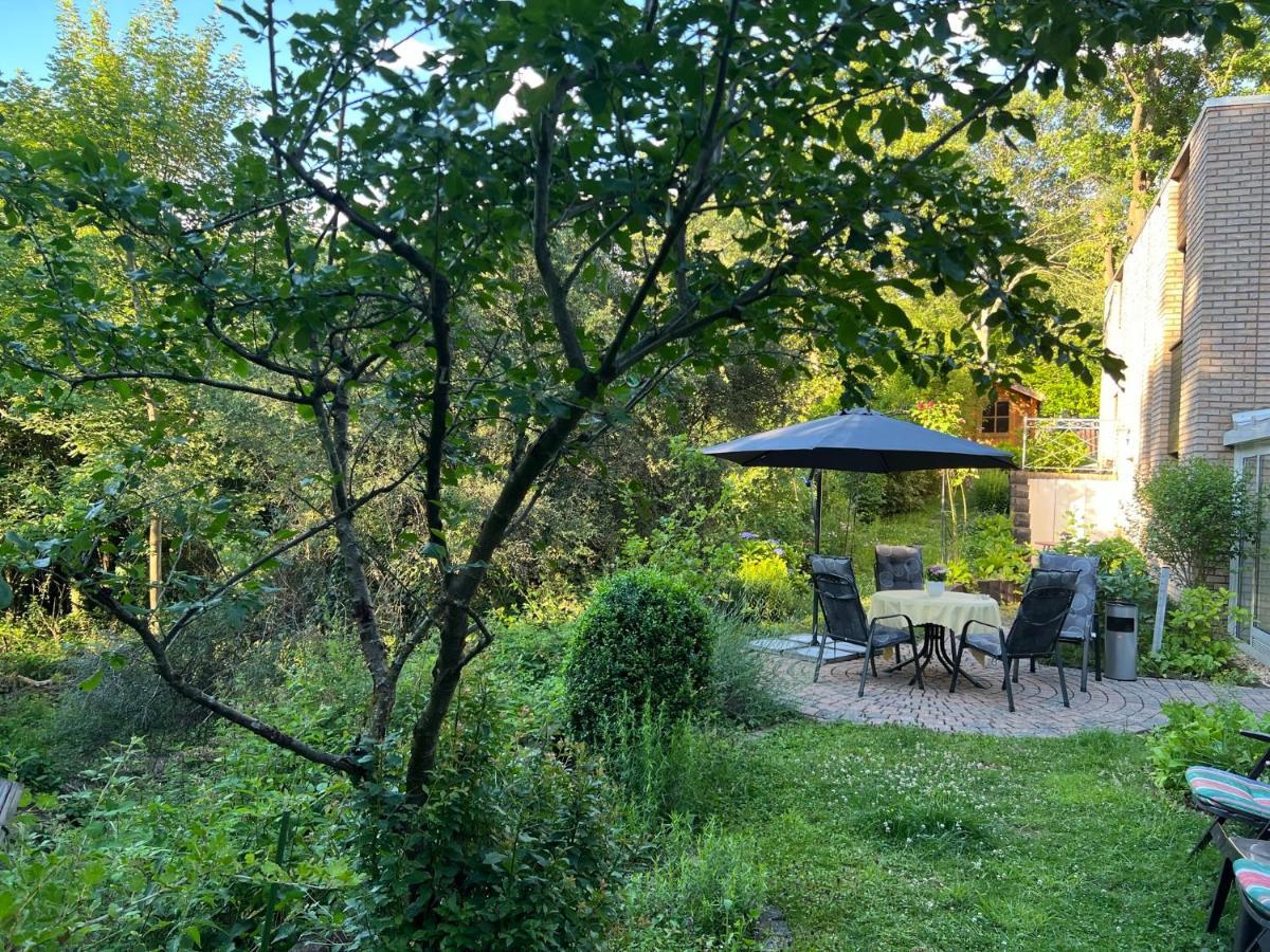 Gaestehaus Zum Buchenweg Hasenfeld Extérieur photo